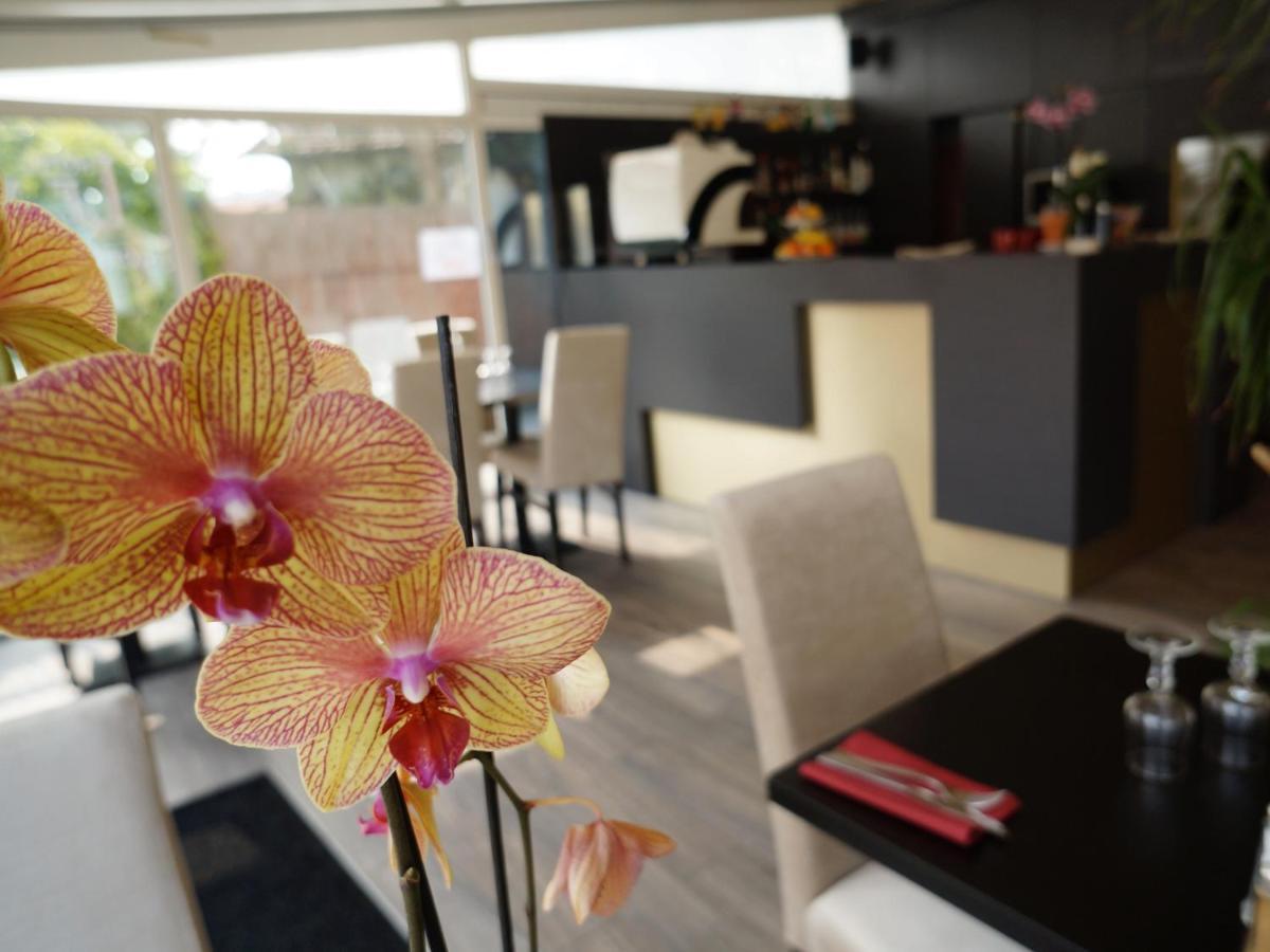 Hotel Et Studios Le Marina Baie De La Baule Pornichet Kültér fotó
